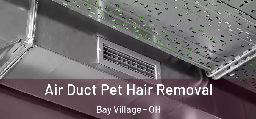  Air Duct Pet Hair Removal Bay Village - OH
