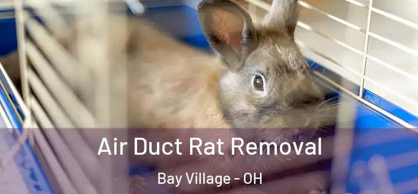  Air Duct Rat Removal Bay Village - OH
