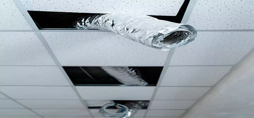 Affordable HVAC Sanitizing After Pest Removal in Bay Village