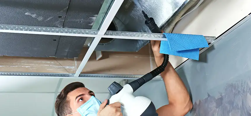 Our Air Duct Rodent Removal Services in Bay Village, OH