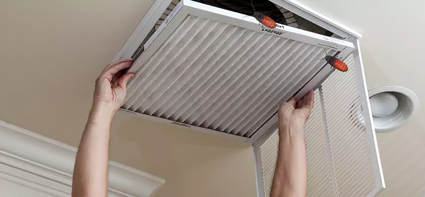Our Insect Removal from Air Ducts Services in Bay Village, OH