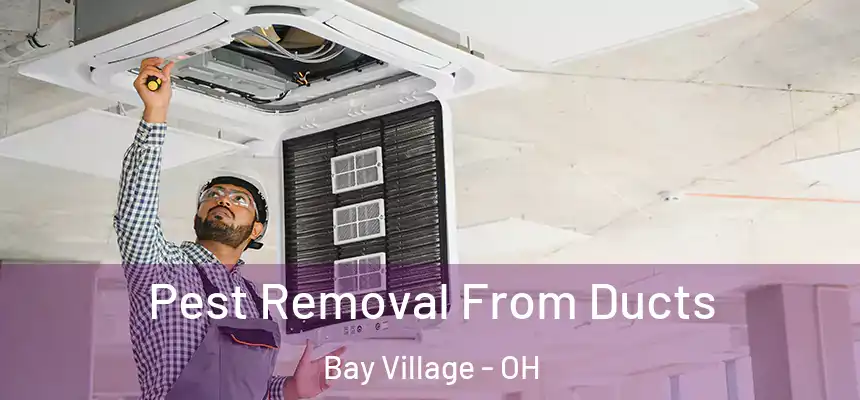  Pest Removal From Ducts Bay Village - OH
