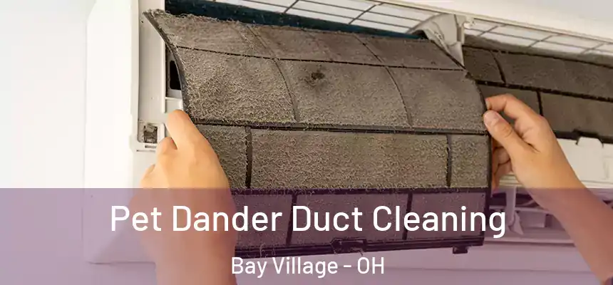  Pet Dander Duct Cleaning Bay Village - OH
